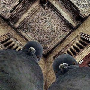 Meet your Posher, Lilly